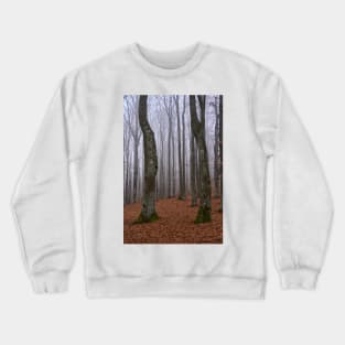 Winter landscape with frost on trees Crewneck Sweatshirt